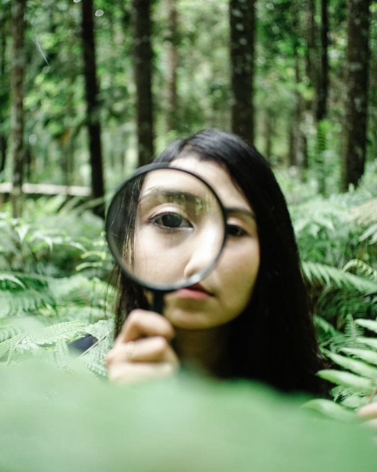 Concentrated Asian female looking at camera through magnifying glass while standing in nature with lush fern leaves and tree trunks