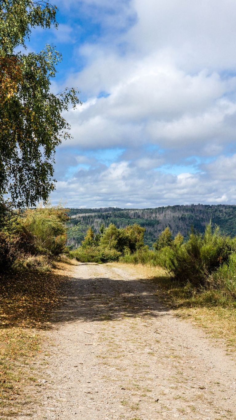 Tranquil mountain path lined with autumn foliage under a partly cloudy sky.